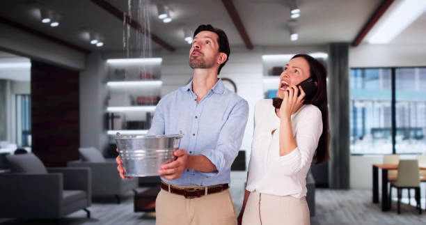 Trusted Water Damage Restoration in Bayboro, NC | Fast, Reliable, and Ready to Assist You